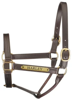 PERRIS LEATHER Halters|Perri’s® Premium Track Style Leather Show Halter with Nameplate