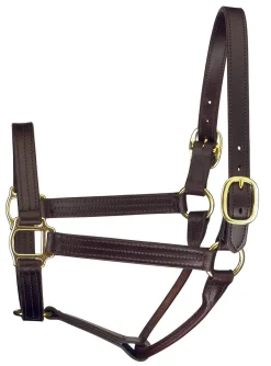 PERRIS LEATHER Halters|Perri’s® Premium Track Style Show Halter