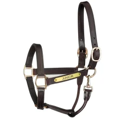 PERRIS LEATHER Halters|Perri’s® Premium Track Style Leather Show Halter with Snap & Nameplate