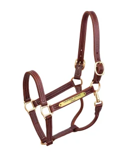 PERRIS LEATHER Halters|Perri’s® Professional Halter with Nameplate