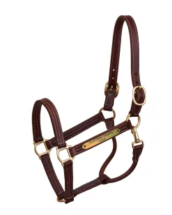 PERRIS LEATHER Halters|Perri’s® Professional Halter with Nameplate