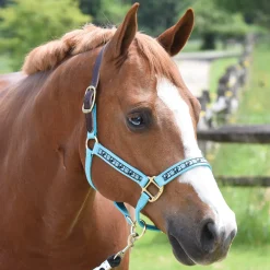 PERRIS LEATHER Halters|Perri’s® Ribbon Trim Breakaway Halter
