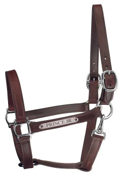 PERRIS LEATHER Halters|Perri’s® Track Style Leather Turnout Halter with Snap Throat and Nameplate
