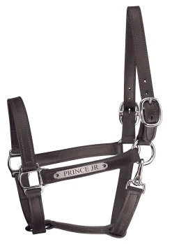 PERRIS LEATHER Halters|Perri’s® Track Style Leather Turnout Halter with Snap Throat and Nameplate