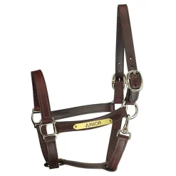 PERRIS LEATHER Halters|Perri’s® Track Style Leather Turnout Halter with Snap Throat and Nameplate