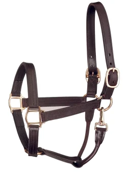 PERRIS LEATHER Halters|Perri’s® Track Style Show Halter with Snap Throat