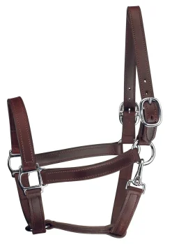 PERRIS LEATHER Halters|Perri’s® Track Style Turnout Halter with Snap