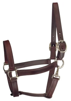 PERRIS LEATHER Halters|Perri’s® Track Style Turnout Halter with Snap