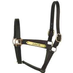 PERRIS LEATHER Halters|Perri’s® Track Style Turnout Halter with Snap