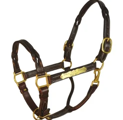 PERRIS LEATHER Halters|Perri’s® Twisted Leather Halter with Nameplate