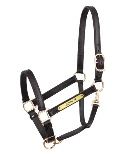 PERRIS LEATHER Halters|Perri’s® Yearling Leather Turnout Halter