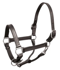 PERRIS LEATHER Halters|Perri’s® Premium Leather Show Halter