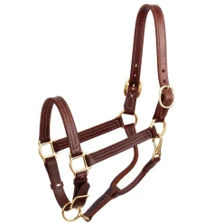 PERRIS LEATHER Halters|Perri’s® Premium Leather Show Halter