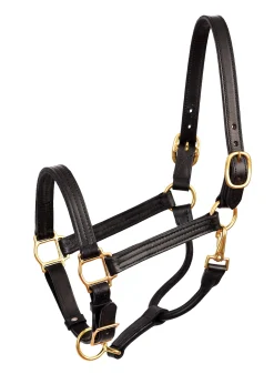 PERRIS LEATHER Halters|Perri’s® Premium Leather Show Halter