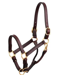 PERRIS LEATHER Halters|Perri’s® Premium Leather Show Halter