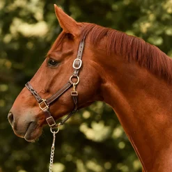 PERRIS LEATHER Halters|Perri’s® Twisted Leather Halter