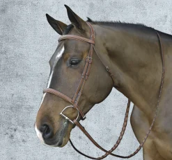 ERS English Bridles|Pessoa® Pro Fancy-Stitched Raised Bridle