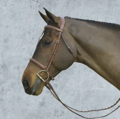 ERS English Bridles|Pessoa® Pro Fancy-Stitched Raised Bridle