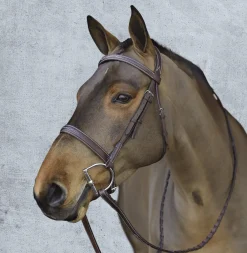 ERS English Bridles|Pessoa® Pro Fancy-Stitched Wide Nose Bridle