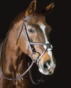 ERS English Bridles|Pessoa® Pro Fancy-Stitched Figure-8 Bridle