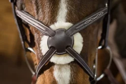 ERS English Bridles|Pessoa® Pro Fancy-Stitched Figure-8 Bridle