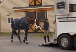 VAC S BANDAGE CO Bandages|Horse Leg Wraps|Pony Stable Bandages