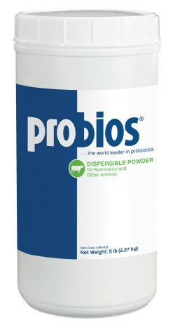 ANIMAL HEALTH INT Horse Supplements|Probios® Dispersible Powder