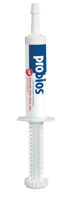 ANIMAL HEALTH INT Horse Supplements|Probios® Gel Digestive Supplement