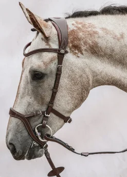 PS OF SWEDEN English Bridles|Nirak™ Bridle