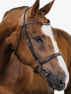 PS OF SWEDEN English Bridles|Ocala Hunter Bridle