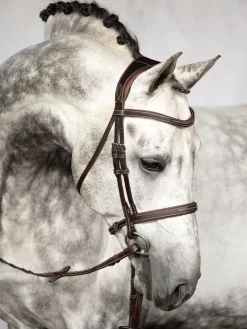 PS OF SWEDEN English Bridles|Ocala Hunter Bridle