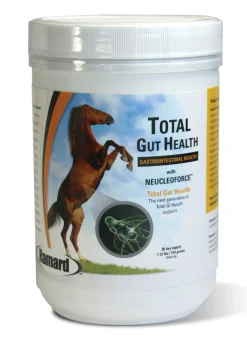 ANIMAL HEALTH INT Horse Supplements|Ramard Total Gut Health Supplement