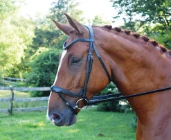 KL SELECT English Bridles|Red Barn Arena Ergonomic Snaffle