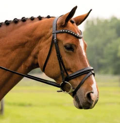 KL SELECT English Bridles|Red Barn Stride Dressage Bridle
