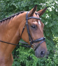 KL SELECT English Bridles|Red Barn Topline Bridle