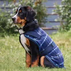 INTEX EQUESTRIAN Dog Blankets|Rider’s International™ Dog Cooler