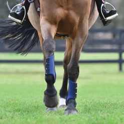 TEXT HORSE Horse Boots|Rider’s International™ All-Purpose Galloping Boots