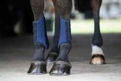 TEXT HORSE Horse Boots|Rider’s International™ All-Purpose Galloping Boots