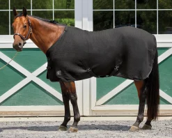 INTEX EQUESTRIAN Horse Coolers|Rider’s International™ Chill Chaser