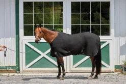 INTEX EQUESTRIAN Horse Coolers|Rider’s International™ Chill Chaser