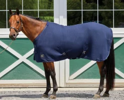 INTEX EQUESTRIAN Horse Coolers|Rider’s International™ Chill Chaser