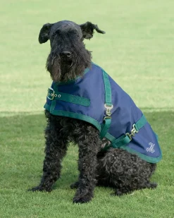 CWEAR BRANCH Dog Blankets|Rider’s International™ Dog Turnout Sheet