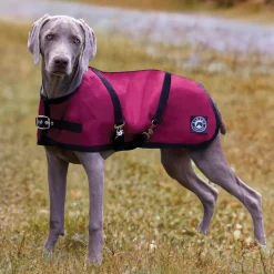 CWEAR BRANCH Dog Blankets|Rider’s International™ Dog Turnout Sheet