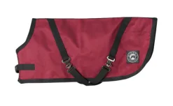 CWEAR BRANCH Dog Blankets|Rider’s International™ Dog Turnout Sheet