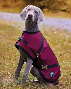 CWEAR BRANCH Dog Blankets|Rider’s International™ Dog Turnout Sheet