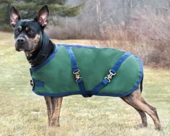 CWEAR BRANCH Dog Blankets|Rider’s International™ Dog Turnout Sheet