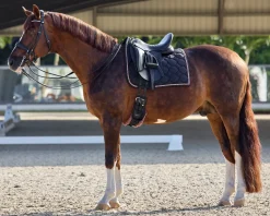 GLOBAL EXPORTS Dressage Pads|Close Contact Saddle Pads|Rider’s International™ Luxury Dressage Pad