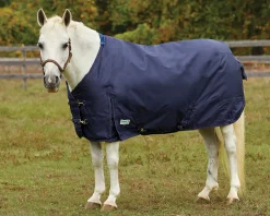 S.K. EXPORTS Turnout Sheets|Rider’s International™ Pony Turnout Sheet