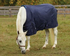 S.K. EXPORTS Turnout Sheets|Rider’s International™ Pony Turnout Sheet
