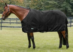 S.K. EXPORTS Turnout Sheets|Rider’s International™ Pony Turnout Sheet